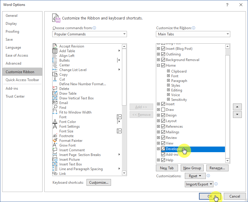 enable developer tab