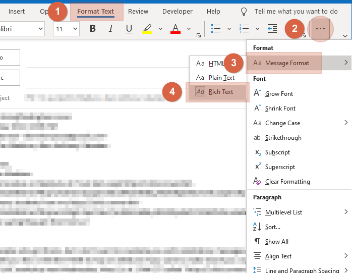 Screenshot of an email editor showing steps to select message format: 1) Click Format Text, 2) Click More Options (three dots), 3) Hover Message Format, 4) Choose Rich Text or Plain Text.