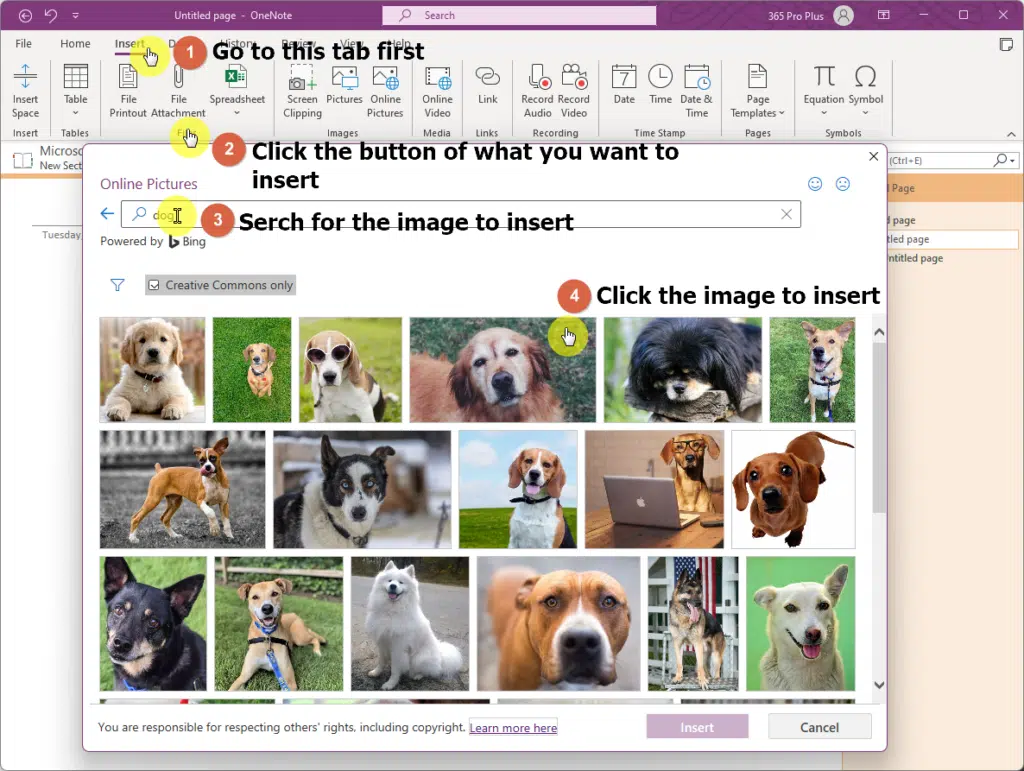 Insert picture from online to insert a picture of a dog
