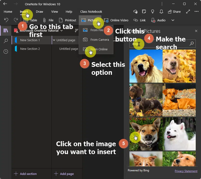 Insert picture from online to insert a picture of a dog