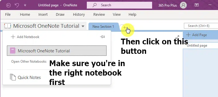 Click on the plus button to add a new section