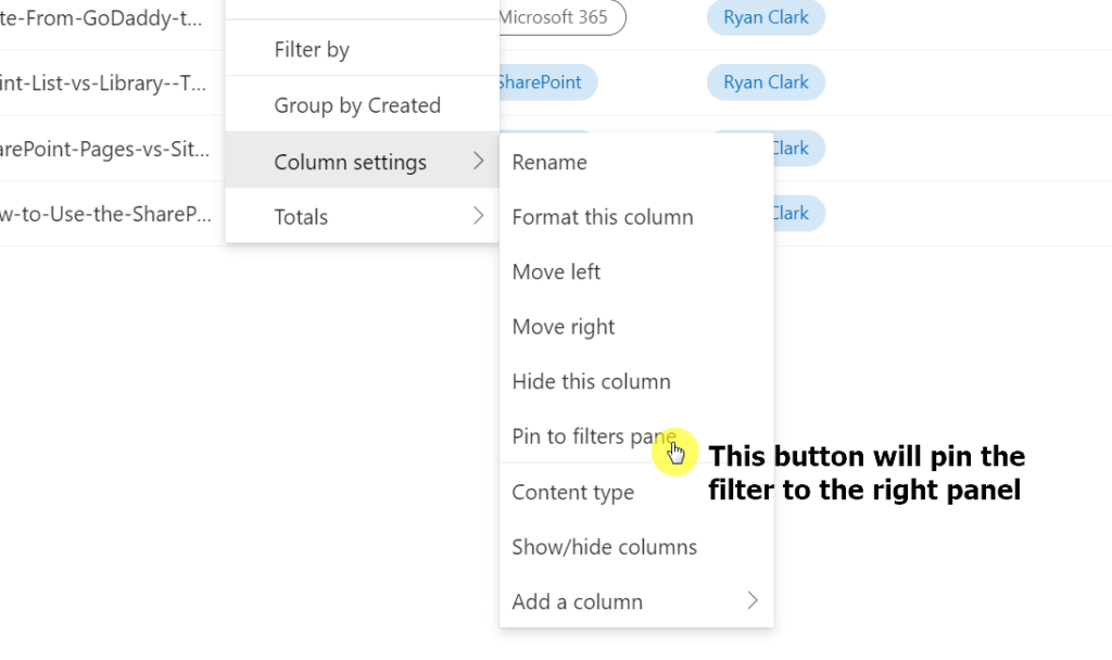 Pin column to the filters pane on the right