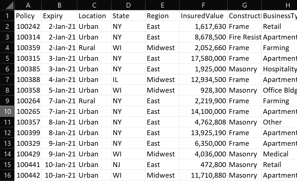 Sample Excel list containing data insurance policies