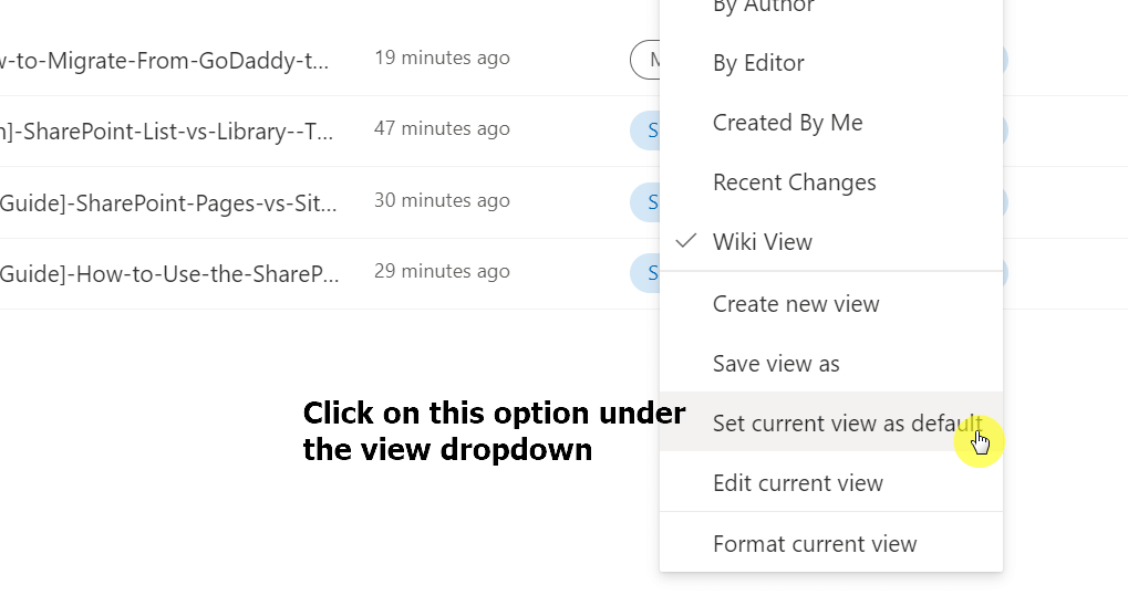 Set the current view as default