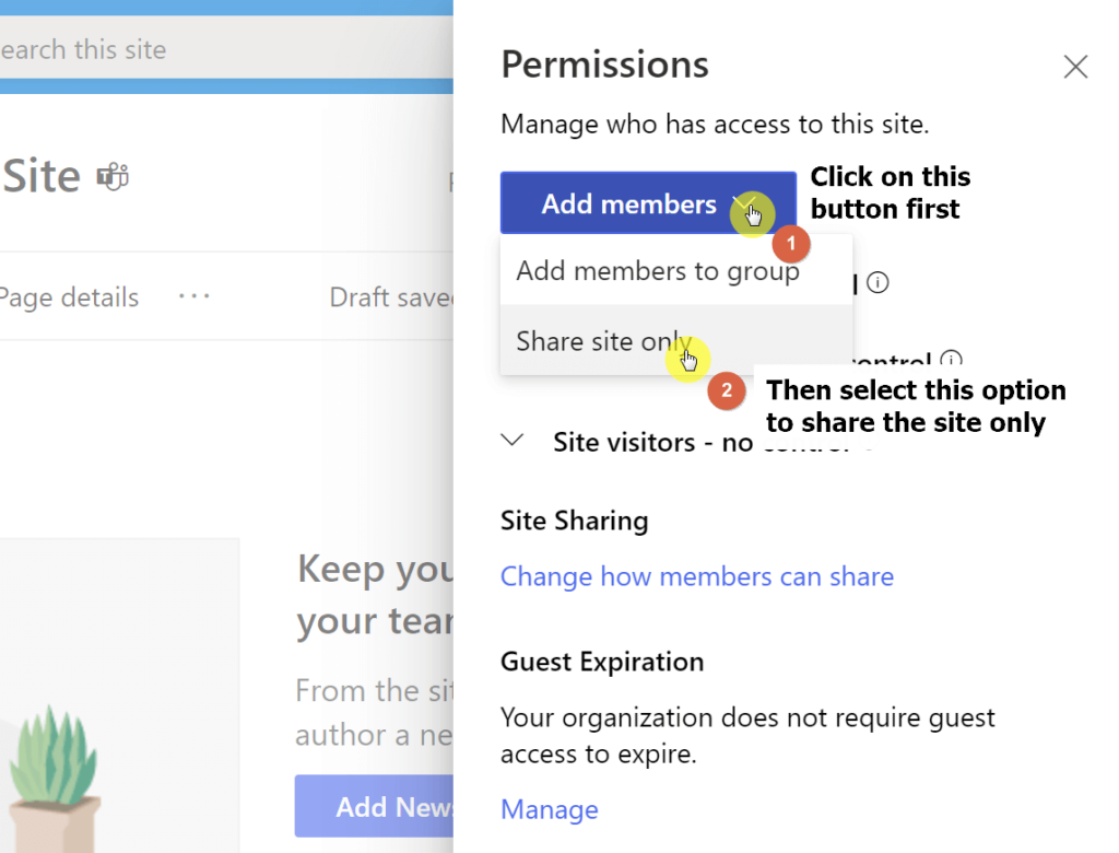 Click on the add members button and select share site only