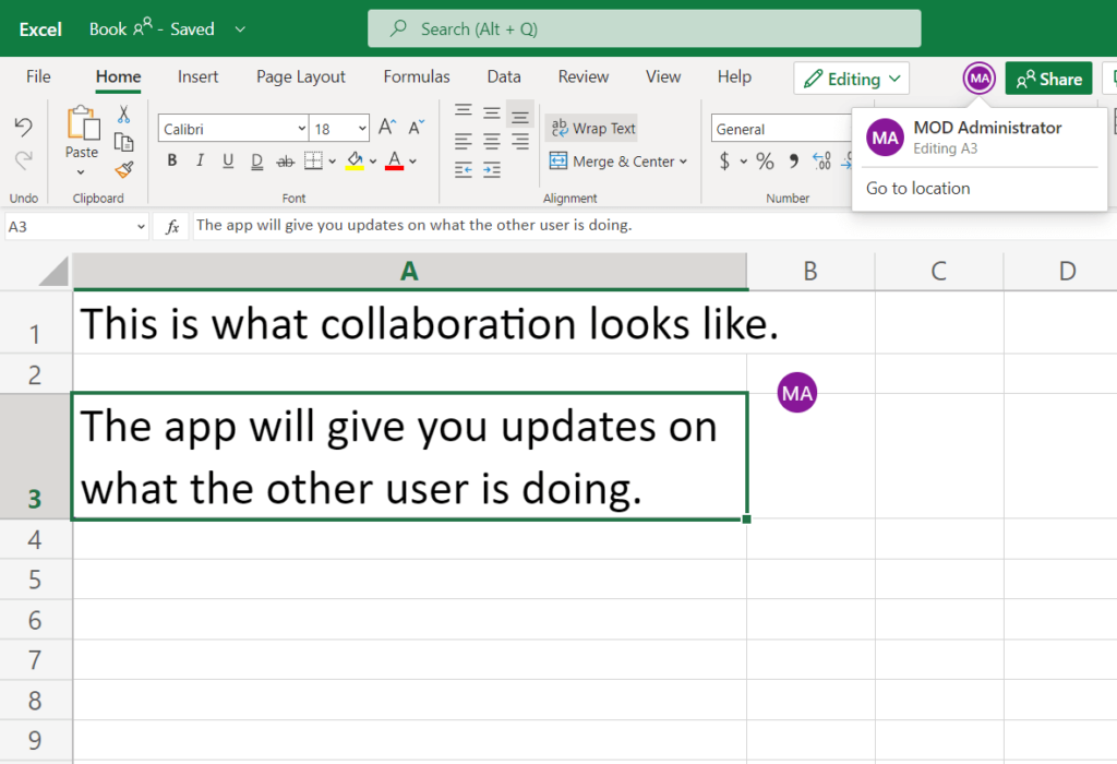 Seeing the changes the other person is doing in Microsoft Excel