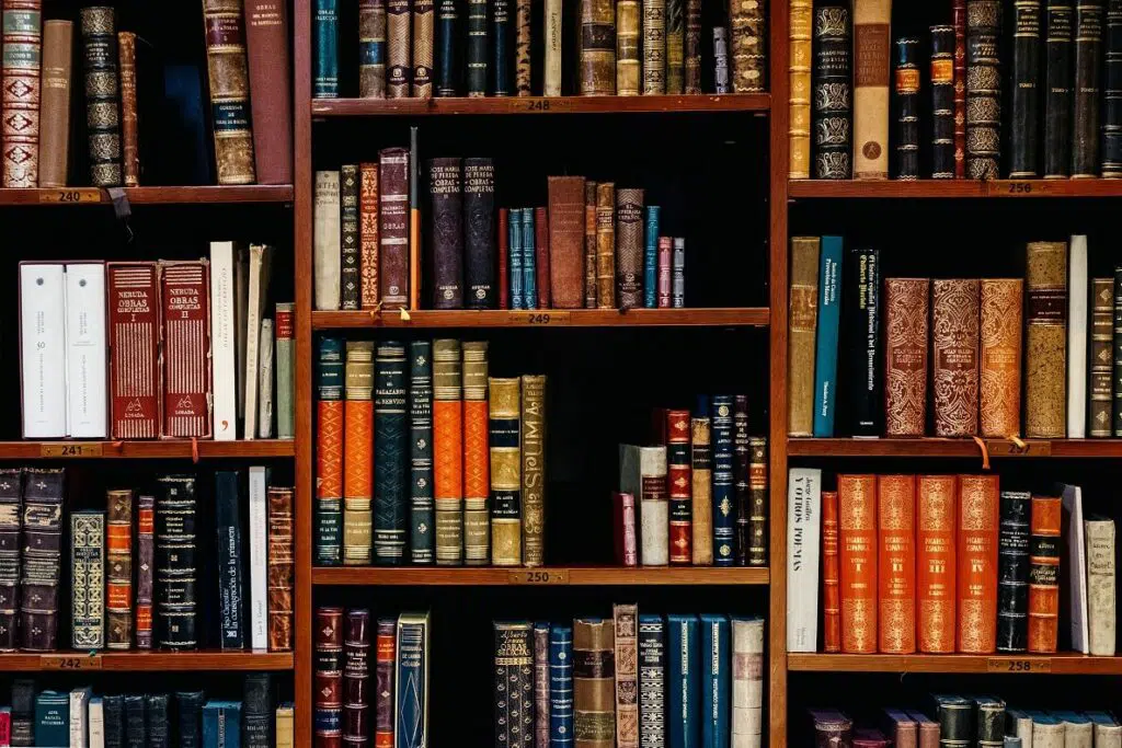 SharePoint Document Library Types: Differences Between Them