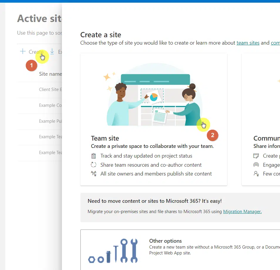Select team site from the options