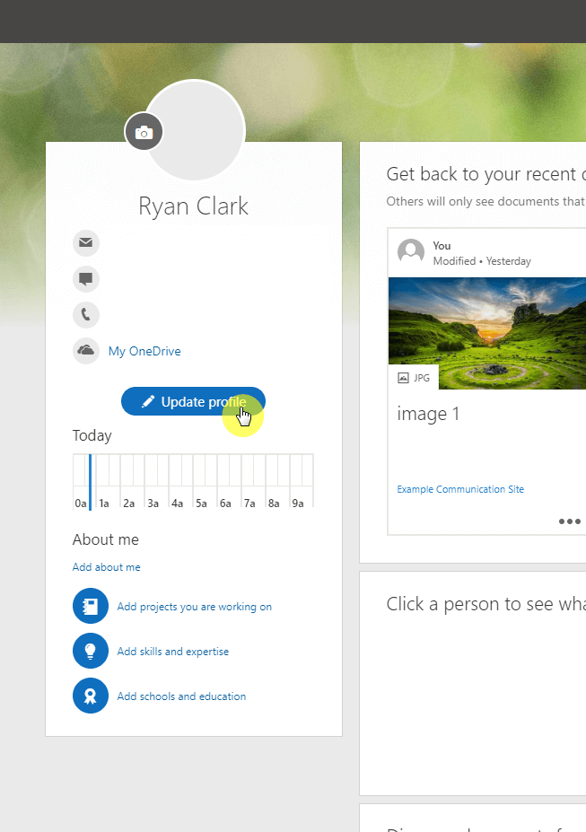 Update profile button on Delve
