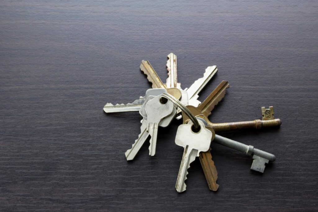 SharePoint 101: SharePoint Site Owner Definitive Guide