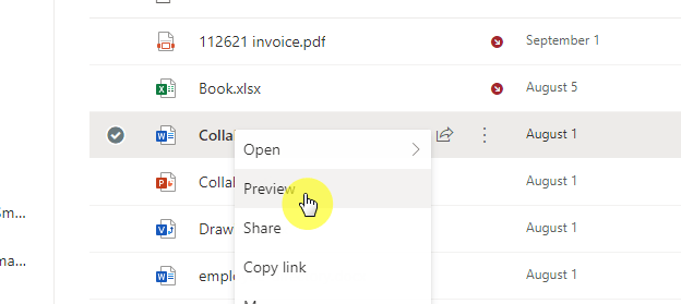 Preview option on a file