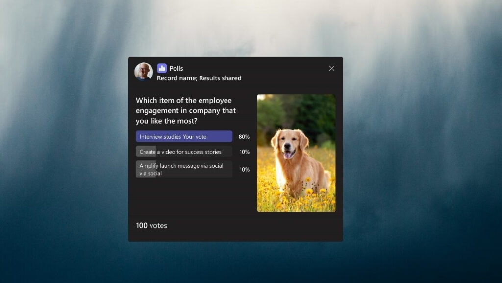 Poll containing an image