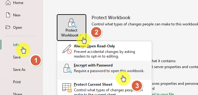 Protect workbook options