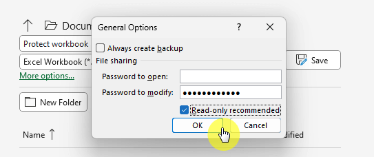 General options for workbook protection