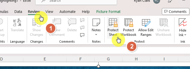 Protect sheet button