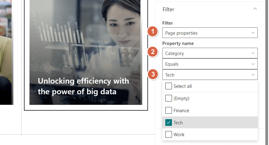 use specific filter options in the news post